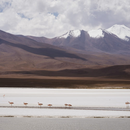 Bolivia, Road Trip, Sony A7II, South America, Uyuni