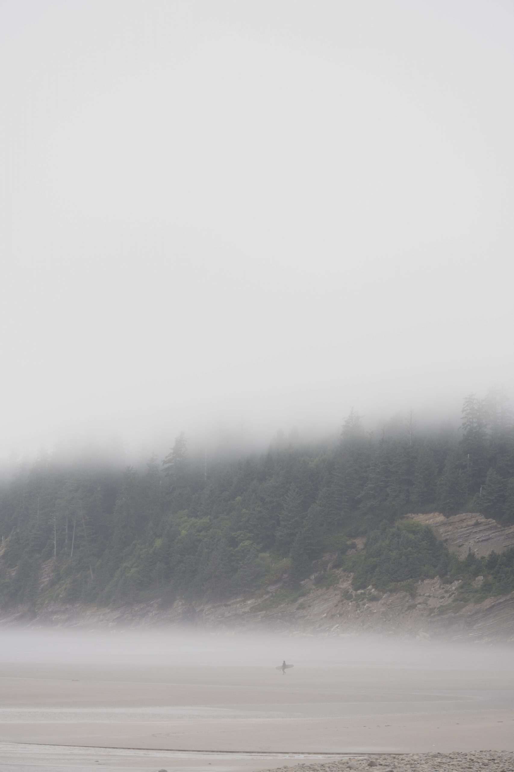 Forrest, Oregon Coast, Trees, fog, moody, pnw, short sands beach