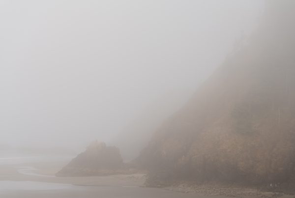 Ecola State Park, Indian beach, beach, fog, forest, moody, ocean, pnw