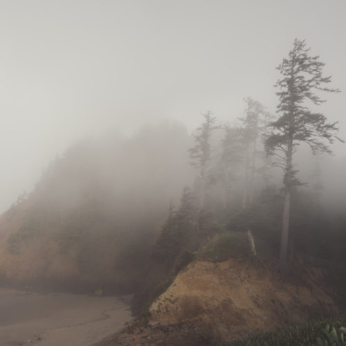 Canon Beach, Ecola State Park, Trees, fog, forest, moody, ocean