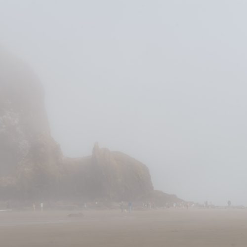 Canon Beach, Ecola State Park, Trees, fog, forest, moody, ocean, tiny people