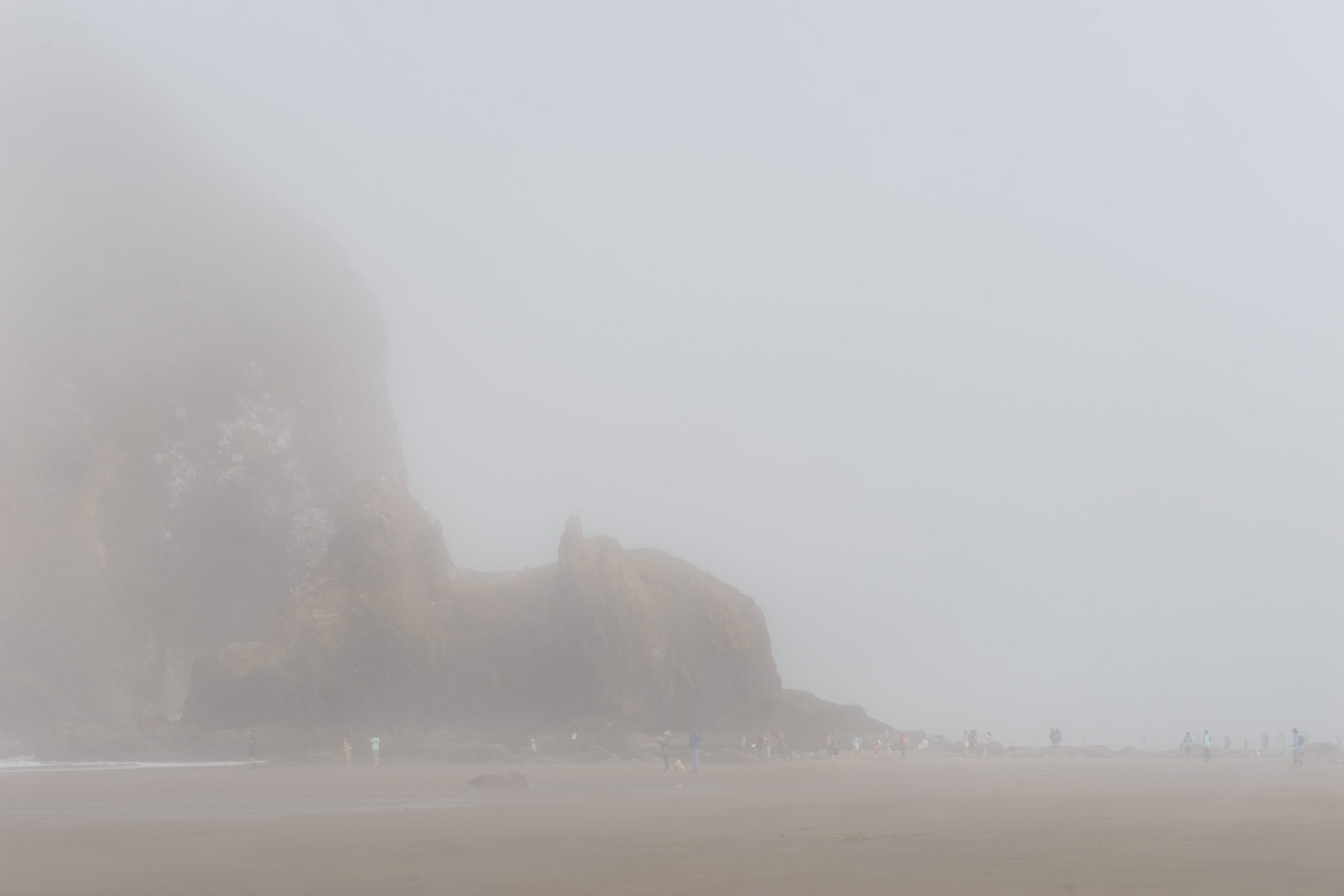 Canon Beach, Ecola State Park, Trees, fog, forest, moody, ocean, tiny people