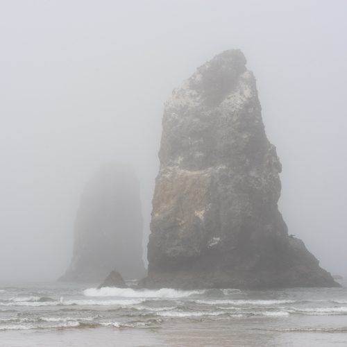 Canon Beach, Ecola State Park, Trees, fog, forest, moody, ocean