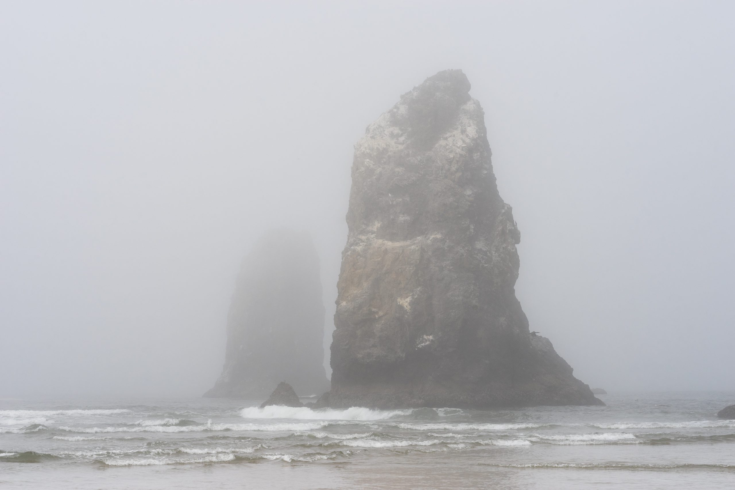 Canon Beach, Ecola State Park, Trees, fog, forest, moody, ocean